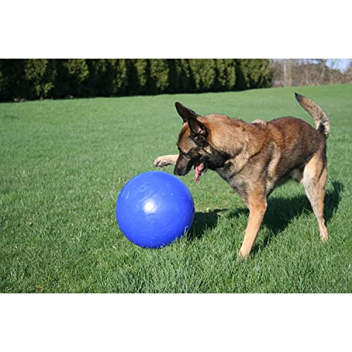 Jolly Pets Push-n-Play Ball Dog Toy, 3 Inches/Mini, Purple - color: Purple, size: 3 in/Mini