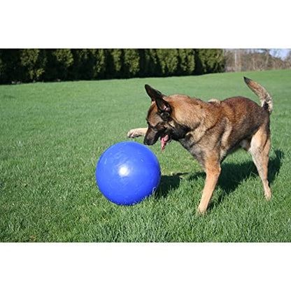 Jolly Pets Push-n-Play Ball Dog Toy, 3 Inches/Mini, Purple - color: Purple, size: 3 in/Mini