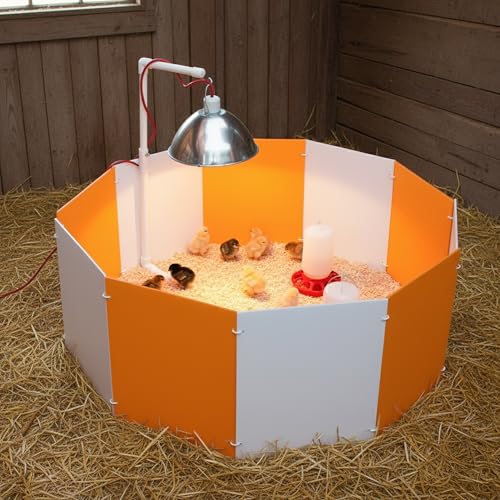Farm Innovators 3700 Baby Chick Corral Starter Home Coop Kit with 10 Plastic Panels and Adjustable Brooder Lamp Hanger for Up to 15 Chicks