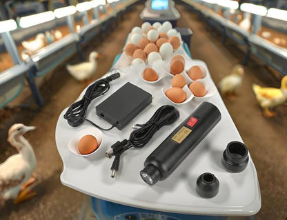 Egg Light, Battery Operated Egg Candling Tester Lamp Mini Lighting Incubator for Experiment Monitoring The Development of The Embryo Within The Egg