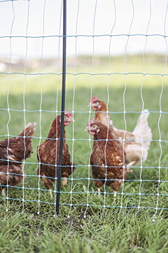 Standard Electric Poultry Netting 42" x 82' (11/42/3) Electric Chicken Fencing for Backyards, Homesteads, Farms, and Ranches