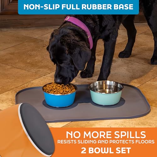 Master Pet Supply Stainless Steel Dog Bowls Set of 2 (32 Oz Each) with Non-Slip Rubber Base - Mango Tango - Basic Dog Food Bowl Water & Food Bowls for Small Medium Large Dogs & Cats, Metal Dish - color: Mango Tango, size: 4 Cups (32 oz) 2 Pack