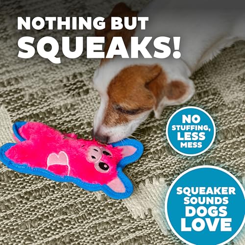 Outward Hound Durablez Minis – Squeaky Plush Dog Toy, No Stuffing for Less Mess, Interactive & Tough, Jumbo Squeaker, Puppies & Small Dogs, Pig, 6.8" - color: Pig, size: X-Small