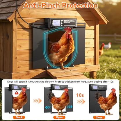 Automatic Chicken Coop Door Large Size, 7W Solar Powered with Timer & Light Sensor, Anti-Pinch Safety Chicken Door, Remote Control, Predator-Proof Aluminum Door for Poultry, Ducks & Chickens