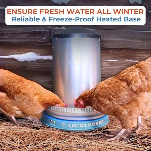 Lil'Clucker Heated Base for Chicken Waterer – Automatic Metal Freeze Proof Heated Chicken Waterer with Heater & LED – Poultry Heated Waterer for Winter (Blue, 11 Inch) - color: Blue