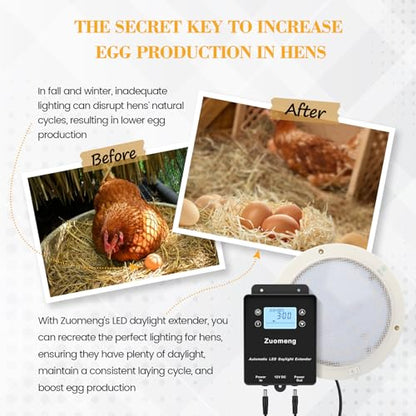 Automatic LED Daylight Extender, Zuomeng Chicken Coop Light with Intelligent Programmable Timer, IP65 Waterproof, Boosts Light for Hens, Enhances Egg Production
