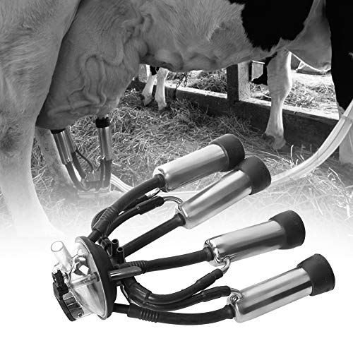 Milking Cluster, 240CC Stainless Steel Rubber Thick Cow Milking Cluster with A Hook, Tough Strong Structure Cow Milk Collector, Smooth Milk Cup Set for Vacuum Pump Milking Machine