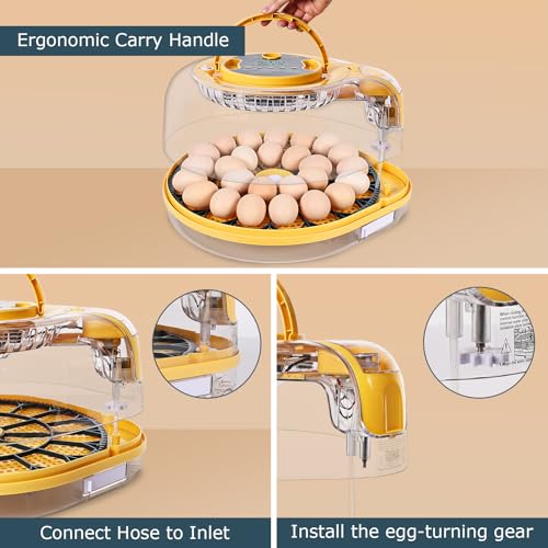 Egg Incubator, 26 Chicken/59 Quail Eggs Incubators for Hatching Eggs with Temp & Humidity Control, Auto Egg Turner, Adjustable Hatch Day & Air Vent, Egg Candler, Auto Water Refill, 360° Clear View - size: 26 Chicken Eggs