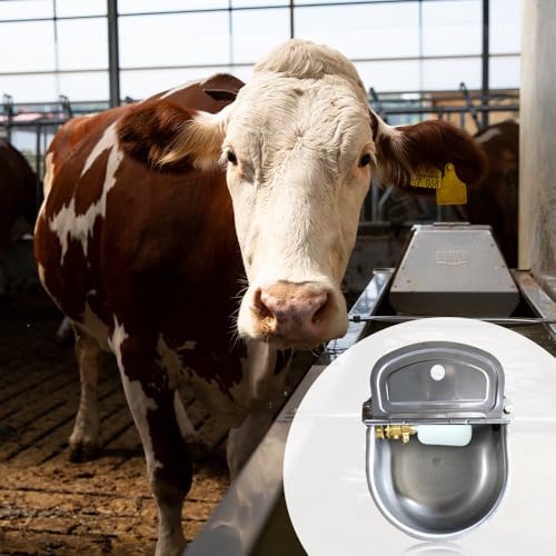 Adjustable Arm Water Level Control Shut Off Valve for Water Tanks,Fully Automatic Brass Construction Drinking Bowl for Cattle and Sheep Float Valve, Suitable for Pigs, Dogs, Horses, Donkeys, Mule (1)