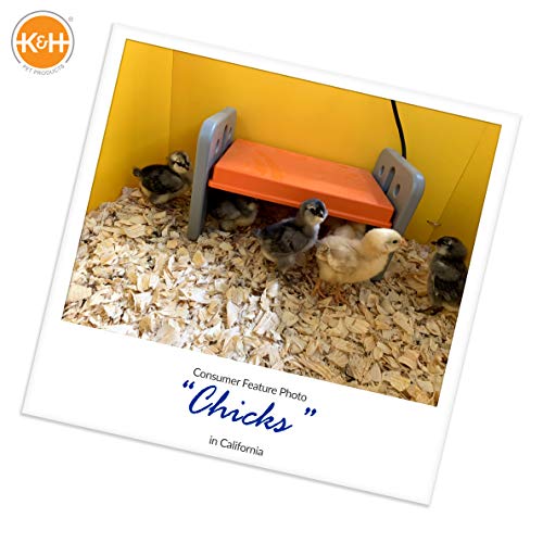 K&H Pet Products Chicken Brooder Heater for Chicks Ducklings, Adjustable Heating Plate for Brooder Boxes, Warms up to 15 Chicks, Chicken Coop Poultry Heating with Safety Light, Small 25 Watts - size: Small 13.5 X 8 X 8 Inches