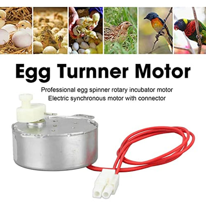 Egg Turnner Motor 4W Egg Turner Rotator Incubator Motor for Chickens Ducks Goose Birds Egg (12v)