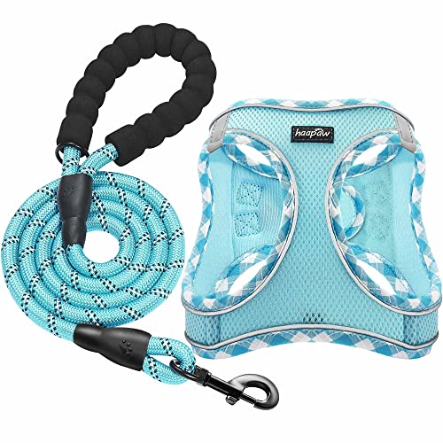 haapaw Dog Harness with Leash Set, No Pull Adjustable Reflective Step-in Puppy Harness with Thickened Padded Vest for Extra-Small/Small Medium Dogs - color: Turquoise, size: XS