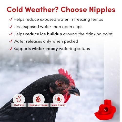 RentACoop 64oz (2 Liter) Automatic Drinker - BPA-Free Poultry Waterer with Auto-Fill Cup and Horizontal Nipple- Suitable for Chicks, Quail, Pigeons, Doves, and Other Smaller Birds