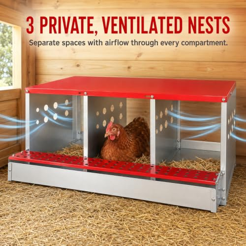 3-Compartment Roll Away Chicken Nesting Box for Hens, 32.6 Inch | Metal build, Egg collection tray, Perch, Protective lid, Wall mount, Freestanding setup, Ducks, Backyard coop, Barn supply - size: 32.6"L x 16.9"W x 13.9"H