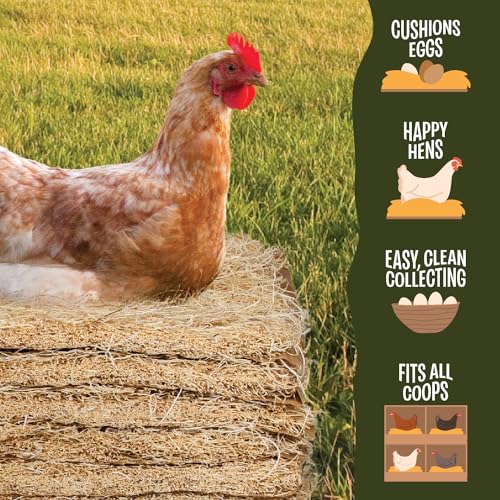 MagJo Aspen Nesting Pads for Chicken Coops - USA Grown Aspen Excelsior Nest Box Liners 13x13-10 Pack with 4 oz Nesting Herbs - size: 10 Pack with Nesting Herbs