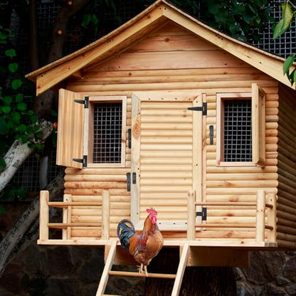 Forestchill Chicken Coop Latch Door & T Hinge Kit, 2 Pcs 4" Flip Latch Lock and 4 Pcs 3" T-Strap Hinges, Chicken Coop Accessories for Door Repair or DIY, Hardware for Wood Vinyl Fence, Barn Gate
