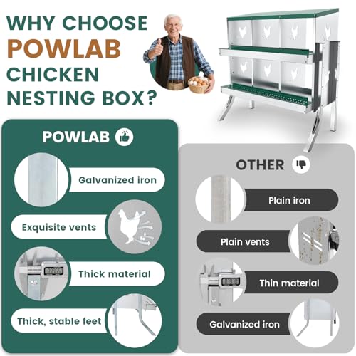 6 Compartment Chicken Nesting Box with Elevated Metal Legs Heavy | Protect Eggs Under Lid; Support Poultry Nesting; Slide Tray For Cleaning; Improve Nest Cleanliness; Metal Poultry Nest Box - color: Green&Silver