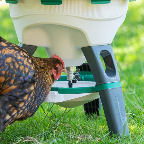 Premier 1 Optimus High Capacity Poultry Waterer for Chickens, Ducks & Geese | 6 Gallon, Top Fill, Gravity Fed
