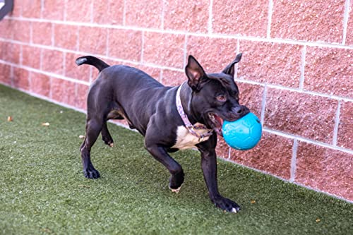 Jolly Pets Large Soccer Ball Floating-Bouncing Dog Toy, 8 inch Diameter, Ocean Blue - color: Ocean Blue, size: 8 Inch Diameter