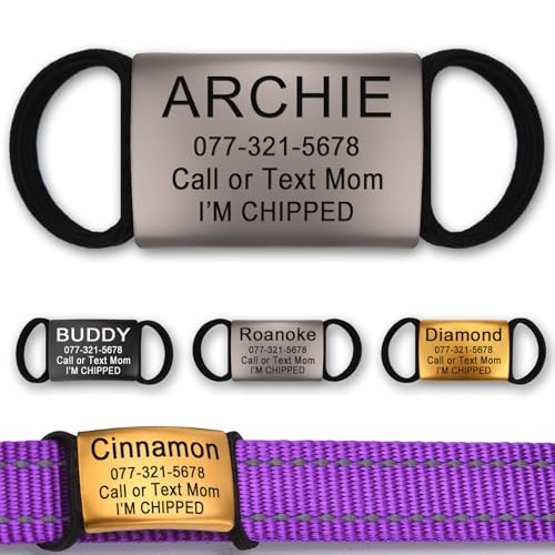 Personalized Engraved Stainless Steel Pet Tag, Sliding Silent Pet ID Tag, Elastic Fabric Band-Not Easy to Break, Fits Most Pet Collars, 3 Sizes, Customizable with Name/Number/Adress(Silvery) - color: Silvery