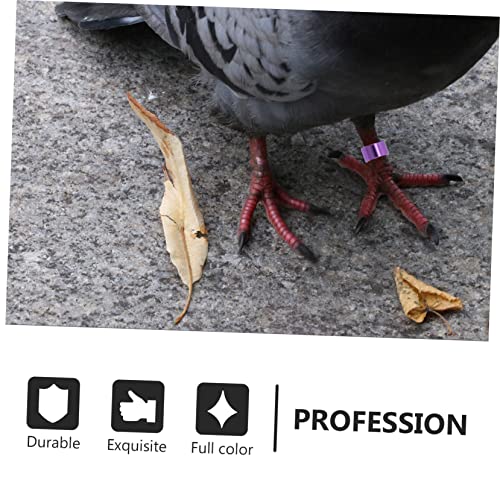 GALPADA 18pcs Pigeon Foot Rings Durable Identification Bands for Pigeons Parakeets and Cockatiels Reusable and Easy to Apply Bird Leg Bands for Poultry Identification Random Color