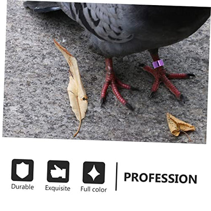 GALPADA 18pcs Pigeon Foot Rings Durable Identification Bands for Pigeons Parakeets and Cockatiels Reusable and Easy to Apply Bird Leg Bands for Poultry Identification Random Color