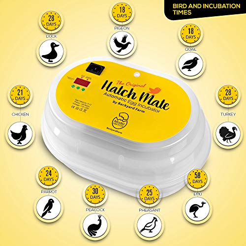 HatchMate™ Egg Incubator with Automatic Egg Turning and Humidity. Small & Portable for Hatching 9-12 Eggs. Hatch Chickens Quail Duck Turkey Parakeet & More