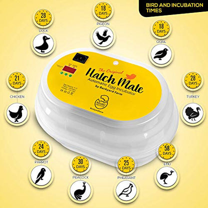 HatchMate™ Egg Incubator with Automatic Egg Turning and Humidity. Small & Portable for Hatching 9-12 Eggs. Hatch Chickens Quail Duck Turkey Parakeet & More