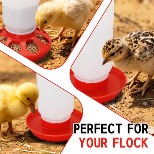 Chick Feeder and Waterer Set – Automatic 1L Chicken Feeder and Waterer for Baby Chicks, Ducks, and Quail – Brooder Starter Kit & Chicken Coop Supplies - color: Red