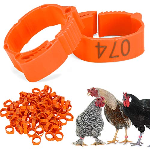 100Pcs Chicken Leg Rings, Ducks, Chickens, Number 1 to 100 Tag Markers Foot for Birds, Reusable and Adjustable, Bright Plastic Material