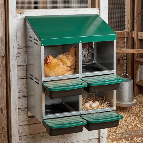 Metal Chicken Nesting Box - Heavy Duty Roll Away Nesting Boxes for Chickens Coop with Easy-Collect Tray & Lid, 4 Hole Galvanized Steel Egg Laying Boxes for Hens Ducks, Wall Mount or Freestanding - color: Green, size: 4 Holes & 2-tier