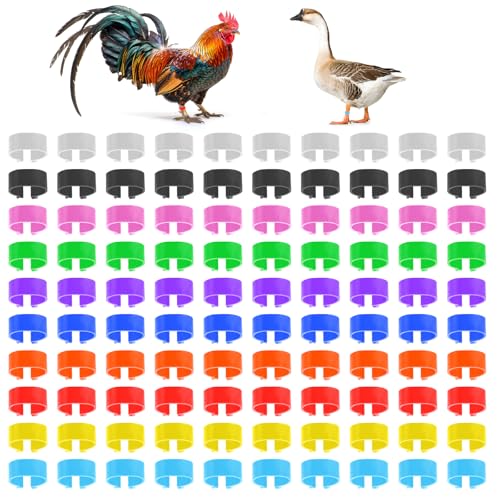 Chicken Leg Bands, 100 Pcs Chicken Leg Rings Identification Band 10 Colors Chick Tags for Legs Poultry Foot Rings Legs Bands for Poultry Identification (16mm)