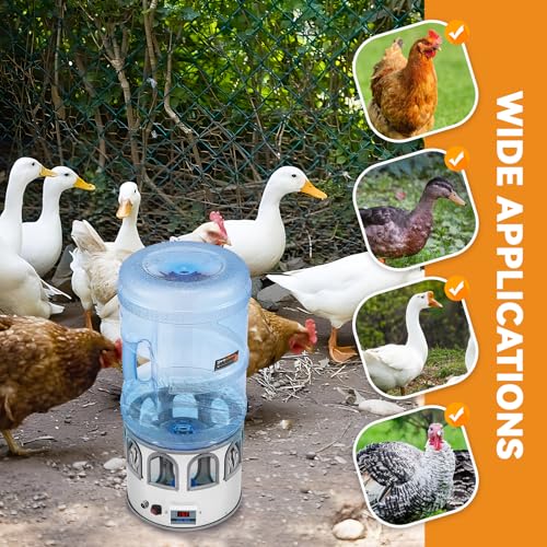 5 Gallon Chicken Waterer for Winter | Heated Chicken Waterer, Temperature Controlling for Ducks, Geese