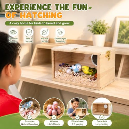 Rypet Parakeet Nesting Box Transparent Design, Thwartwise Bird Nest Breeding Box with Perch Wood Bird Cage House for Cockatiel Lovebirds Budgie Finch Parrotlets Canary S - size: Small