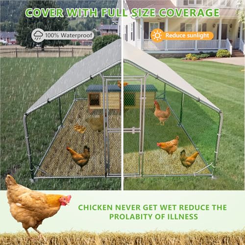 Large Chicken Coop,Metal Chicken Run for Yard with Feeding Door