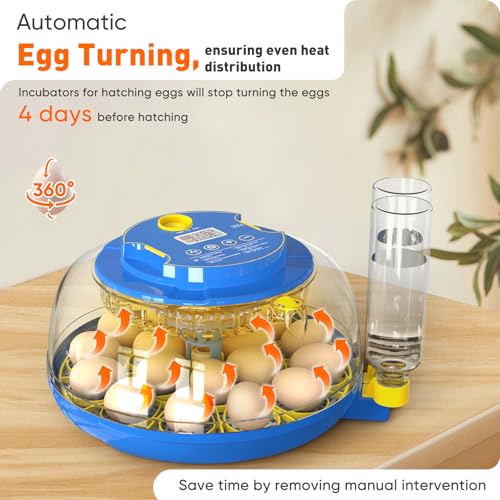 MYPIN 18 Chicken Eggs Incubator with Temperature Control, Humidity Display, Auto Egg Turning, Auto Water Filling, 2 Size Egg Trays, Chick Incubaotrs for Hatching Eggs Digital Incubator for Chicken