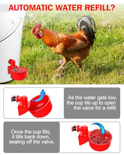 Professional Chicken Waterer Cups, 30 Packs Large Automatic Poultry Water Feeder with Tee Fittings - Leakproof Design for Ducks, Chickens, Geese, Turkeys, Birds - Includes Mounting Hole Opener Tool