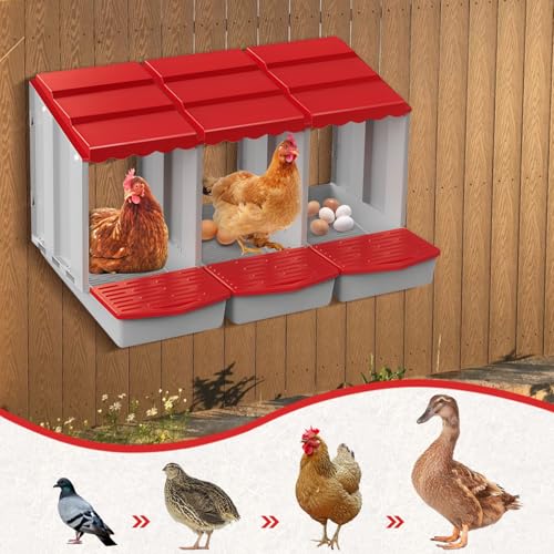 Chicken Nesting Boxes,3 Hole Nesting Box for Chicken Coop, Rolling Egg Collection and Protection Nesting Boxes - size: 3 Compartment