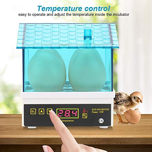 Automatic Temperature Control Incubator, Liquid Crystal Digital Display Incubator for Chicken Quail Experiment with 4 Sheets Humidity Maintenance Home Use for Children Education (Us Plug 110V)