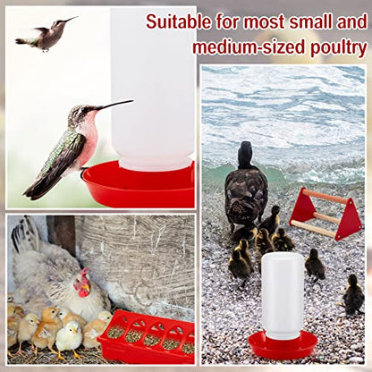 Patelai 12 Pcs Chick Feeder and Waterer Kit Feeding Supplies with Mini Perch Chicken Starter Kit for Coop and Brooder for Small Poultry Ducks Quail