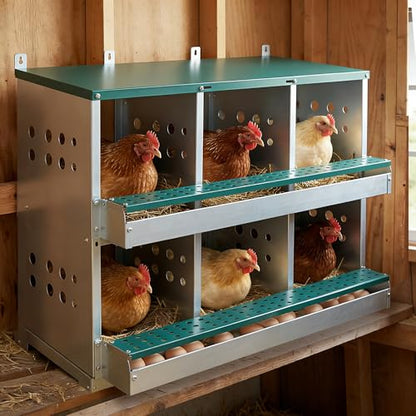 6 Compartments Chicken Egg Nesting Box, Roller Design, Green Metal, 33x16.3x25.6 inches, Wall Mounted, Easy Clean Rust Free Chicken House Egg Box