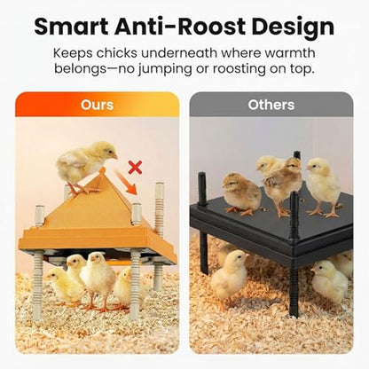 Chick Brooder Heating Plate with Anti-Roosting Cone Cover, 12" x 12" Large Brooder Heater for Chicks, Adjustable Height & Angle, Safe & Energy Efficient Radiant Heat, Keeps Top Clean & Chicks Huddled - size: 10.0"L x 12.0"W x 12.0"H