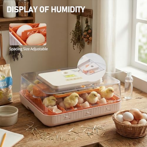 Winado Incubators for Hatching Eggs, 56 Egg Incubator with Automatic Egg Turning, Temperature & Humidity Control, Egg Candler, Automatic Water Filling and Day Counter for Eggs Hatching
