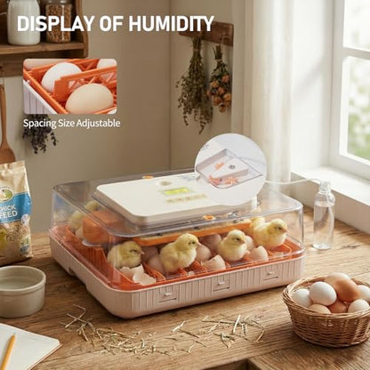 Winado Incubators for Hatching Eggs, 56 Egg Incubator with Automatic Egg Turning, Temperature & Humidity Control, Egg Candler, Automatic Water Filling and Day Counter for Eggs Hatching