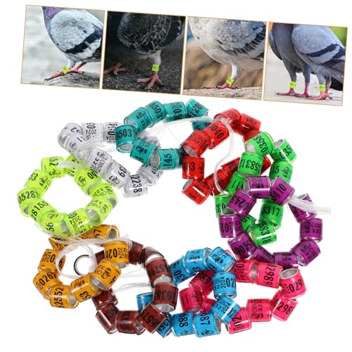 BESPORTBLE 100pcs Mixed Pigeon Leg Bands Foot Rings for Poultry Birds and Chickens Easy Identification Supplies for Racing Pigeons Parakeets and Style