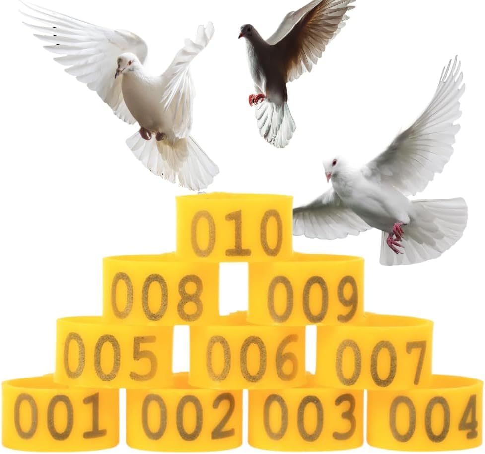 Poultry Leg Bands, 6 Colors 100PCS/Bag 16MM 001-100 Numbered Plastic Poultry Chickens Ducks Goose Leg Bands Rings for Chickens Gamefowl Turkey Duck Goose(Yellow) - color: Yellow