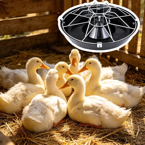 Round Livestock Feed Trough for Duck, Chicken, No Waste Outdoor/Indoor Piglet Feeder, Pasture Poultry Water Bowl Container, Easy to Install(Double Rack,52cm/20.5"(8 Slots)) - color: Double Rack, size: 52cm/20.5"(8 Slots)