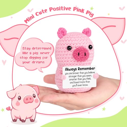 Mini Funny Birthday Handmade Crochet Pink Pig Encouraging Gift for Women | Back to School Gift for Student,Teacher Graduation Inspirational Cheer Up Support Gift for Girl Teen Friend Her Coworker - style: Always Remember