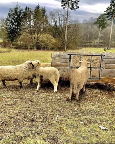 Wall Mount Horse Feeder for Flat Wall, Small Hay Rack Grain Feeders for Goats Sheep Horse Steel Livestock Trough with 25 Gallon Capacity