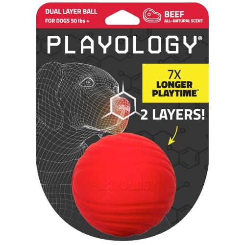 Playology Dog Toys | Dual Layer Ball Durable Chew Toy for Tough Chewers | Beef Scented Jumbo Dog Ball | Chew Toys for Large Dogs - size: Jumbo, style: Beef